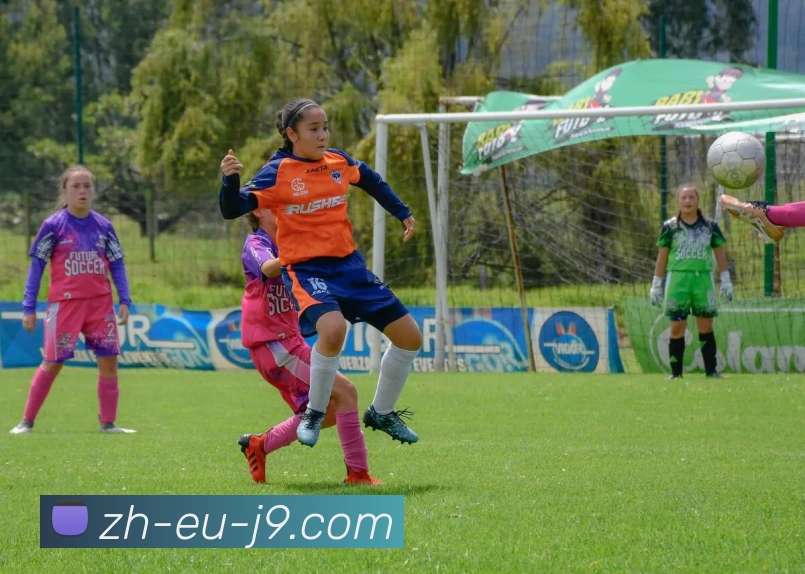 App Interface Preview